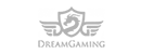 Dream Gaming
