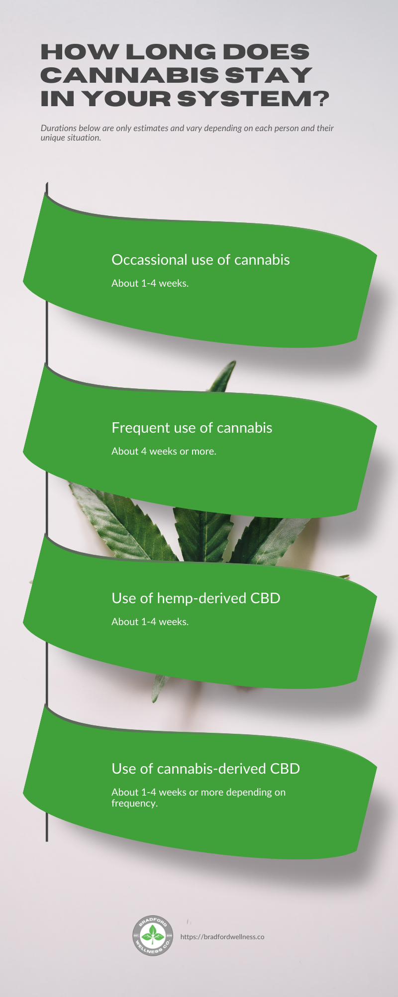 infographic of "How long does cannabis stay in your system?" by Bradford Wellness Co. - CBD Dispensary. 