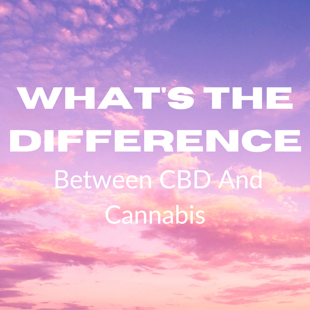 What's The Difference Between CBD And Cannabis - Bradford Wellness Co.