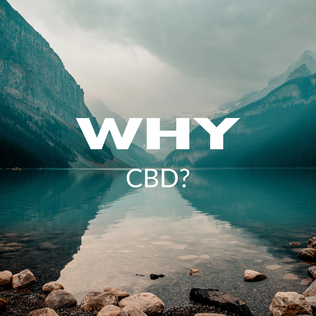 Why CBD? - Bradford Wellness Co.