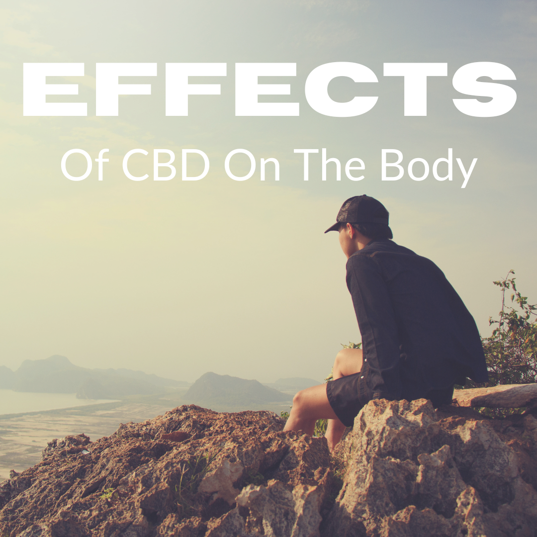 Effects of CBD on the body - Bradford Wellness Co.