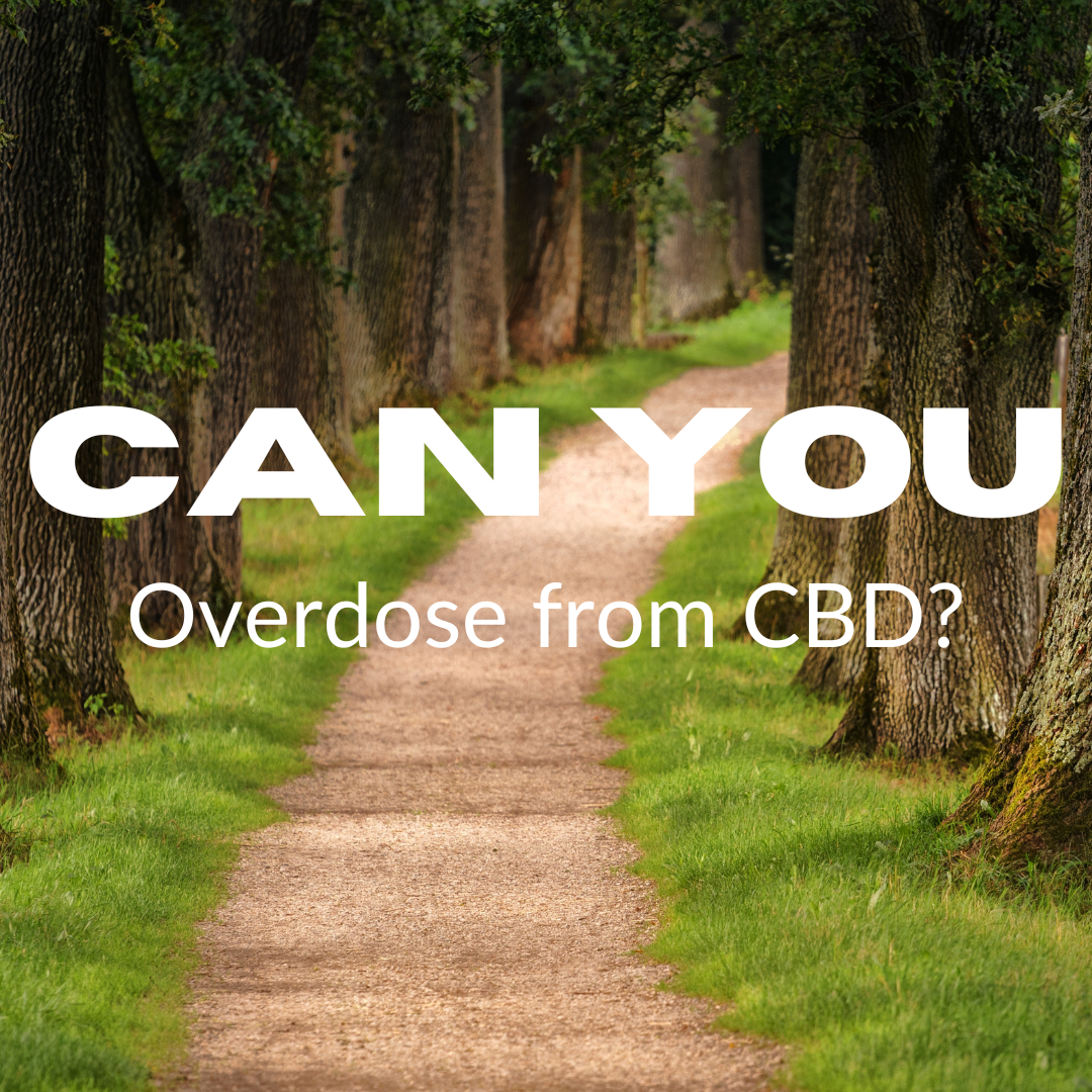 Can You Overdose From CBD? by Bradford Wellness Co.
