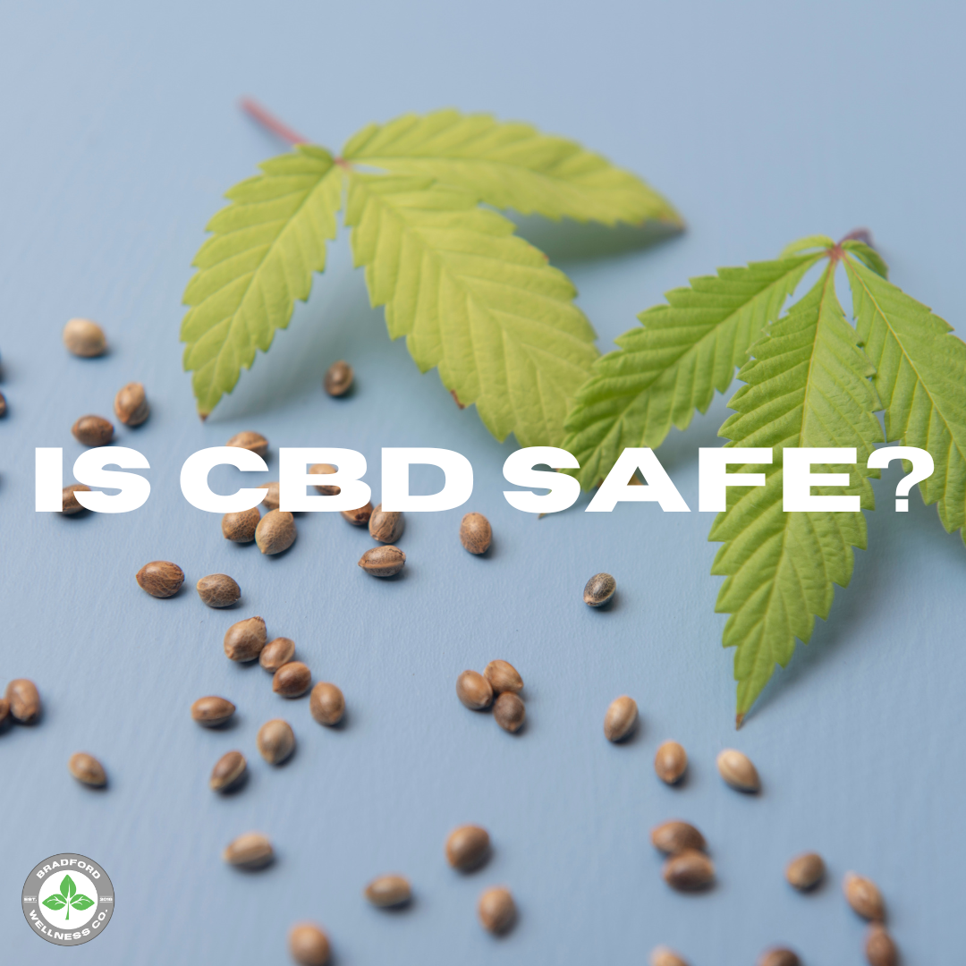 Is CBD Safe? There are cannabis leaves and hemp seeds.