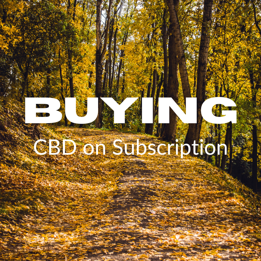 Buying CBD On Subscription - things to think about - a path with fall leaves