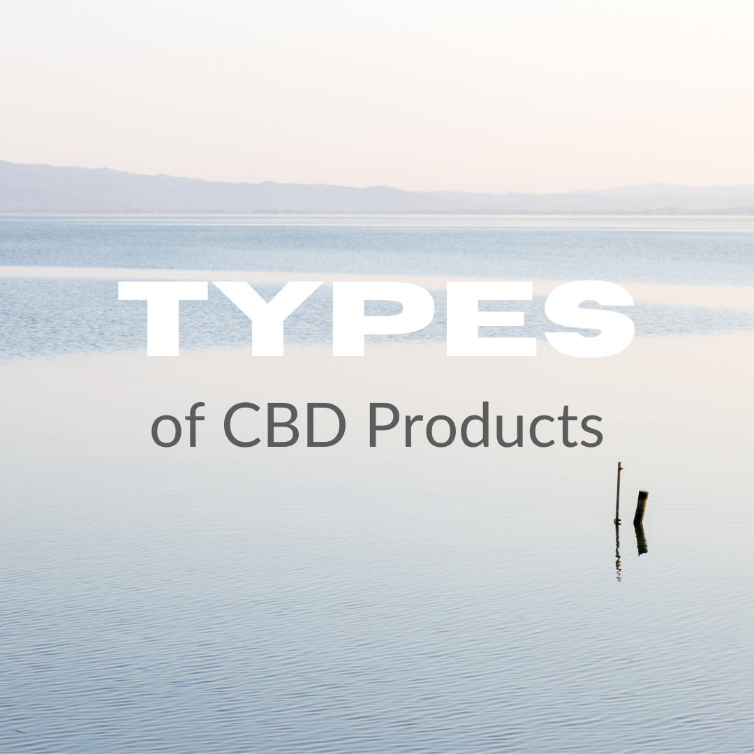 a peaceful ocean tide background overlayed with text saying "Types Of CBD Products"