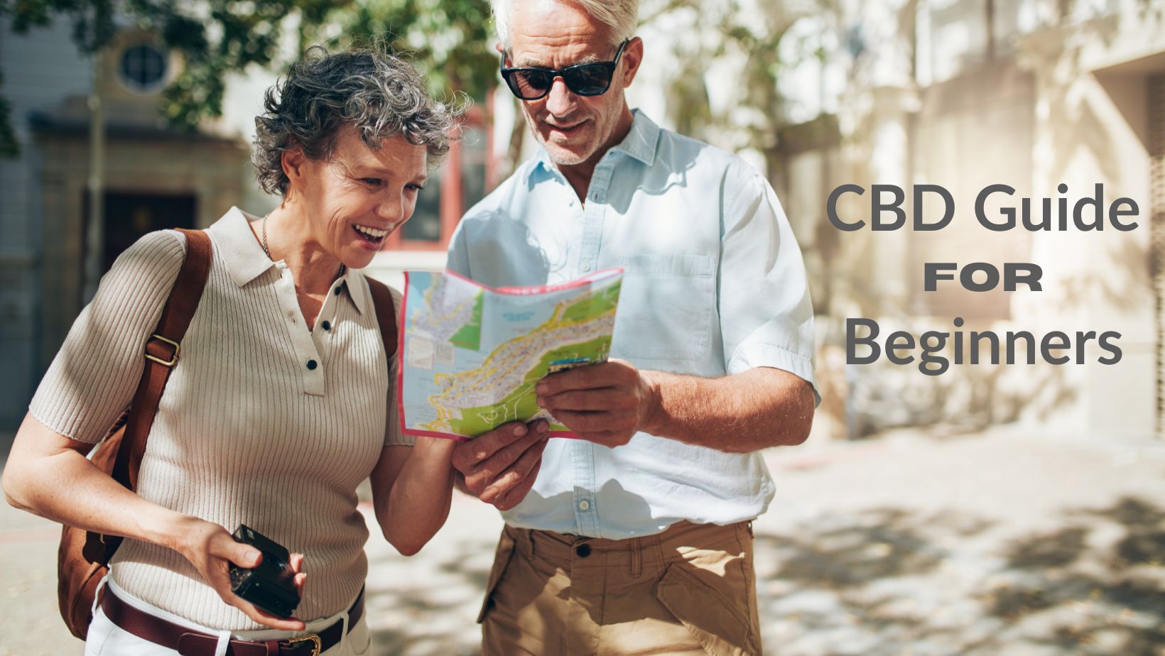 CBD Guide For Beginners - A Beginner's Guide To CBD, Everything You ...